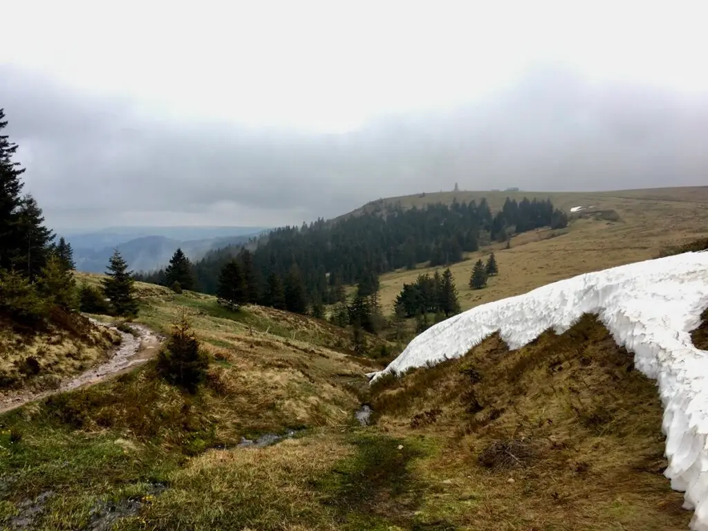 Wandelen over de Westweg in het Zwarte Woud