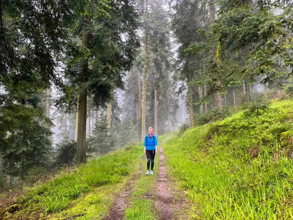 Wandelen over de Westweg in het Zwarte Woud