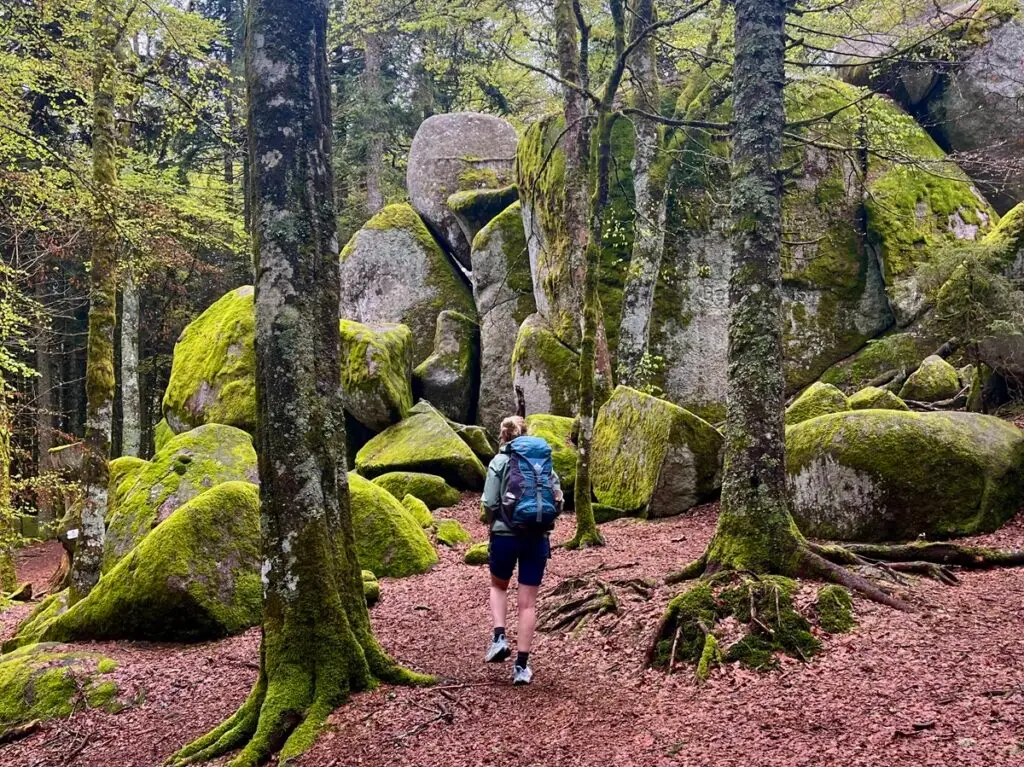 Wandelen over de Westweg in het Zwarte Woud