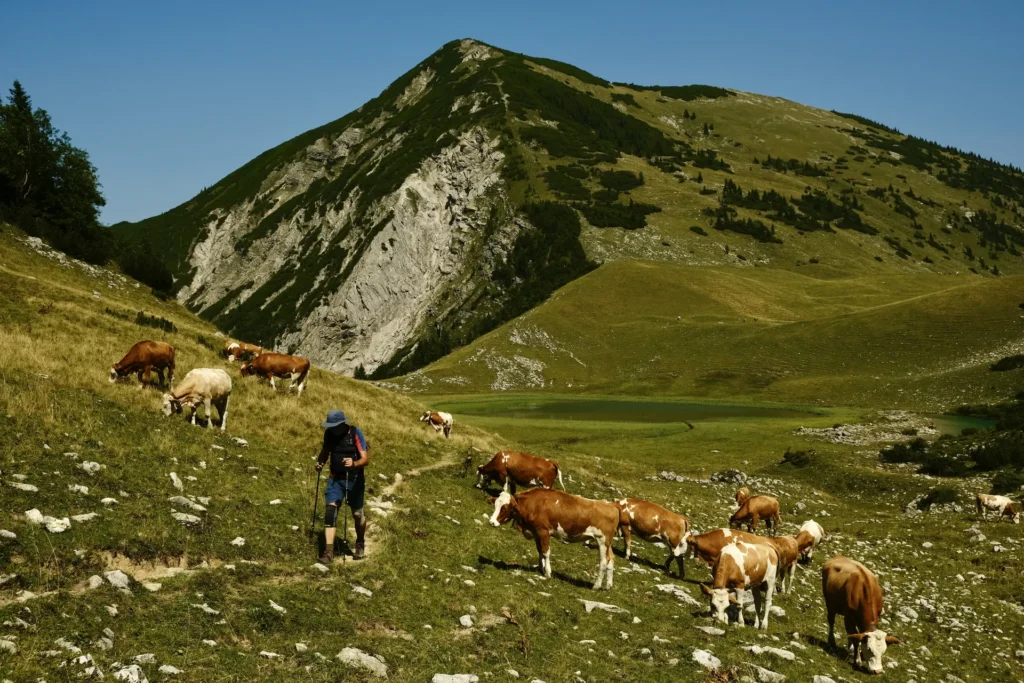 Twee dagen op huttentocht door het Karwendelgebergte in Duitsland